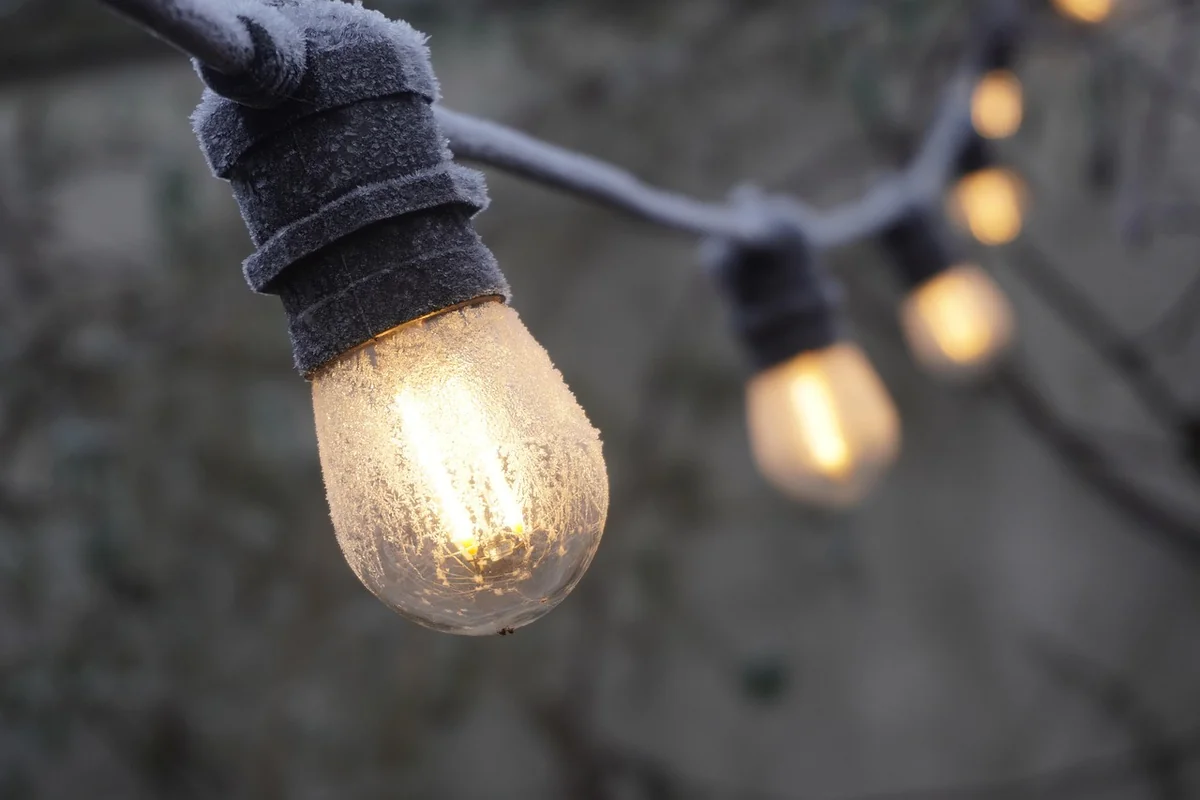 Wahl der Mitgliedschaftsart und Beitragsmodell