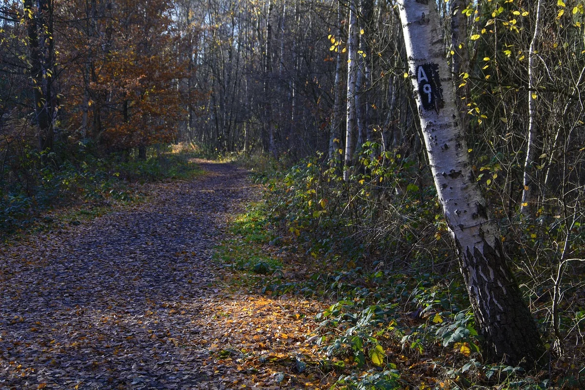 Die Rolle der Gemeinschaft: Warum die LG Kassel den Unterschied macht